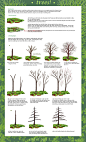 tree tutorial part 1 by calisto-lynn