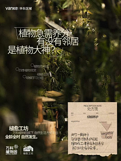 一只麦子采集到排版
