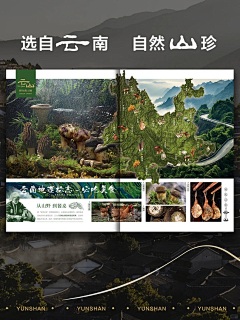 用户pxcFkTzi采集到纪