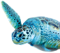 Breed, Rescue, Protect | SEA LIFE 부산아쿠아리움