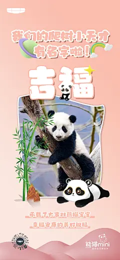 0317-熊猫官宣海报2