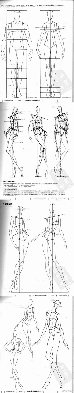 那年十七呀采集到线稿练习