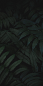 Hintergründe