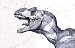 (2)Iain_McCaig 星球大战 哈利波特 复仇者联盟 角色_野苼_新浪博客