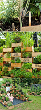 vertical garden from old crates, Cool Vertical Gardening Ideas, http://hative.com/cool-vertical-gardening-ideas/,: 