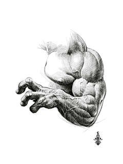 *&()&*采集到人体结构