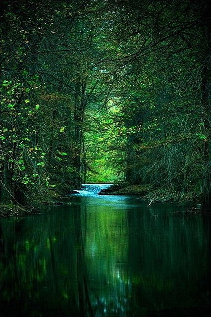喜欢深绿色的人沉着、冷静、善良...