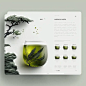 an image of a website page with plants and vases on the front, below it