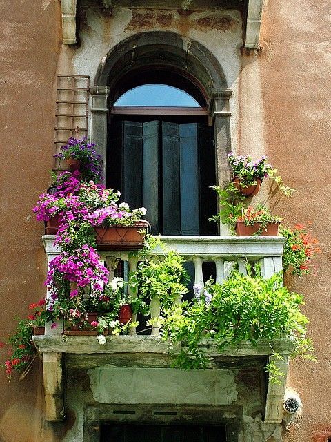 Beautiful Window Box...