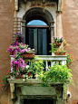 Beautiful Window Box | Windows and doors | Pinterest