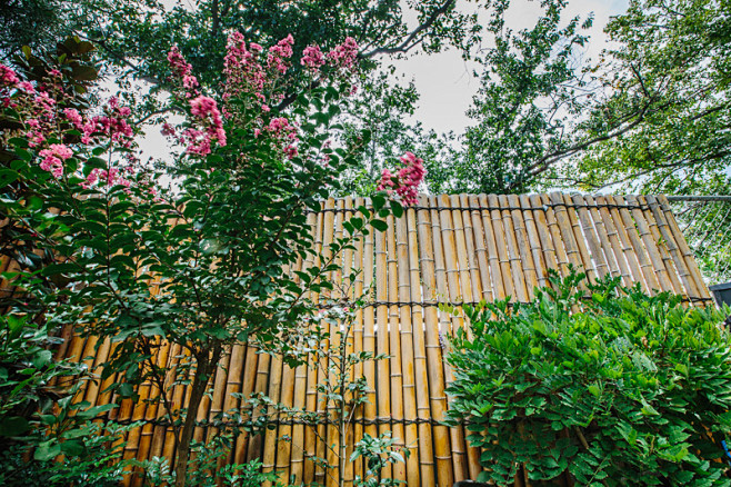 Windsor | Phillip Wi...