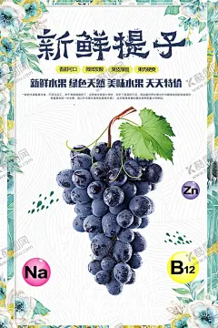 葡萄 【酷图网】葡萄,葡萄海报,葡萄上市,提子,葡萄熟了,葡萄采摘,葡萄提子,葡萄红提,葡萄黑提,葡萄广告,葡萄展板,红缇,葡萄采摘节,葡萄园,摘提子,葡萄庄园,葡萄红酒,葡萄节开幕,有机葡萄,葡萄批发,葡萄节,葡萄农业,生态葡萄