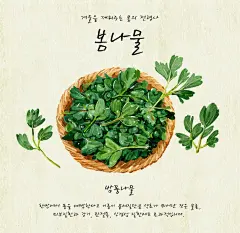 韩国绿色可口蔬菜手绘蔬菜插图插画设计平面海报PSD格式