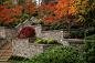Asian inspired contemporary garden