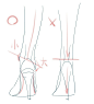 「【講座】足首、足裏 関連」/「Amagi_Yoshihito」の漫画 [pixiv]_动态 _123采下来 #率叶插件，让花瓣网更好用#