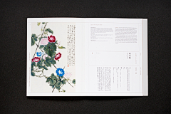 棉大花儿采集到平面设计-画册折页