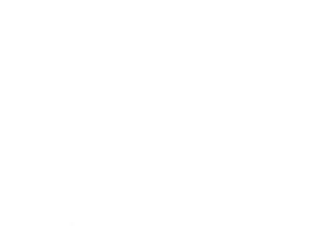 A-018