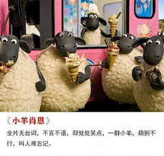 不知有鱼采集到不好看却好看的电影