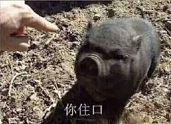 诗语萱采集到有趣的灵魂
