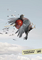 Playland Falcon/King Fisher/Pigeon | 2012 Awards Winner | Applied Arts