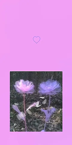 @你看那是岸_朱夫人（由于壁纸有一部分自制，所以转壁纸请加关注注明出处，蟹蟹）平铺，可爱，女王范，黑色，黑白，白色，锁屏，ins风，潮，御姐，动漫，卡通，风景，古风，流行，欧美，情侣壁纸
