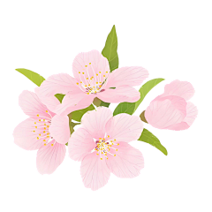 皛九采集到桃花素材
