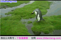 班尼采集到搞笑动态