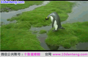 跳远冠军。。腾小讯。。
