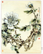 【转载】中国当代名家名画*王道中工笔牡丹 - 白水的日志 - 网易博客