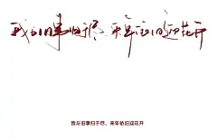 壁纸/背景图