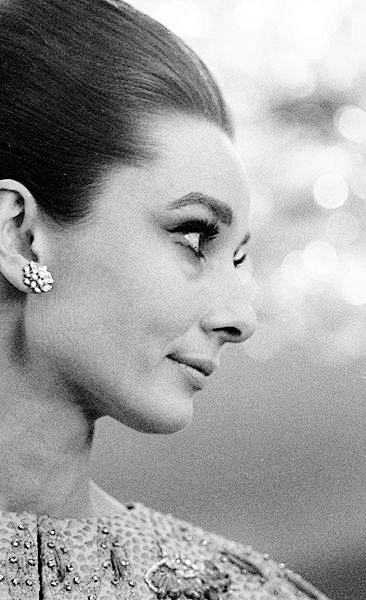 Audrey Hepburn photo...