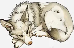 手绘狼高清素材 动物 卡通 手绘 插画 灰狼 狼 猛兽 白狼 元素 免抠png 设计图片 免费下载 页面网页 平面电商 创意素材