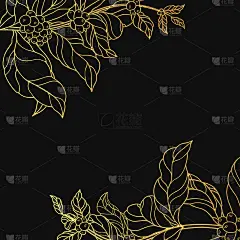 概念黄金边界与vintage咖啡树枝与金叶和豆。可可背景框架商店或房子。向量孤立的插图。
