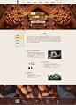 公司介绍 网页设计 网站设计 企业网站 UI设计 平面设计  坚果 瓜子