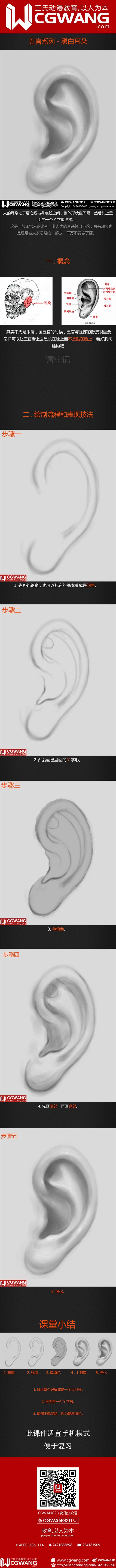 【CGWANG2D】每日教程《五官系列-...