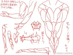 绘画超话 #绘画参考# 来自画师 ００３３ 的女性上半身画法参