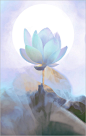 Lotus Flower Surreal Series - DD0A1608-2-1000-bz : Lotus Flower Surreal Series View On Black 