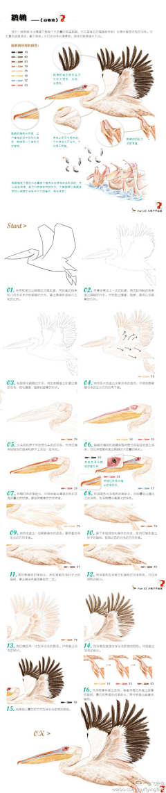 章鱼兰采集到彩铅