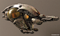Nautilus