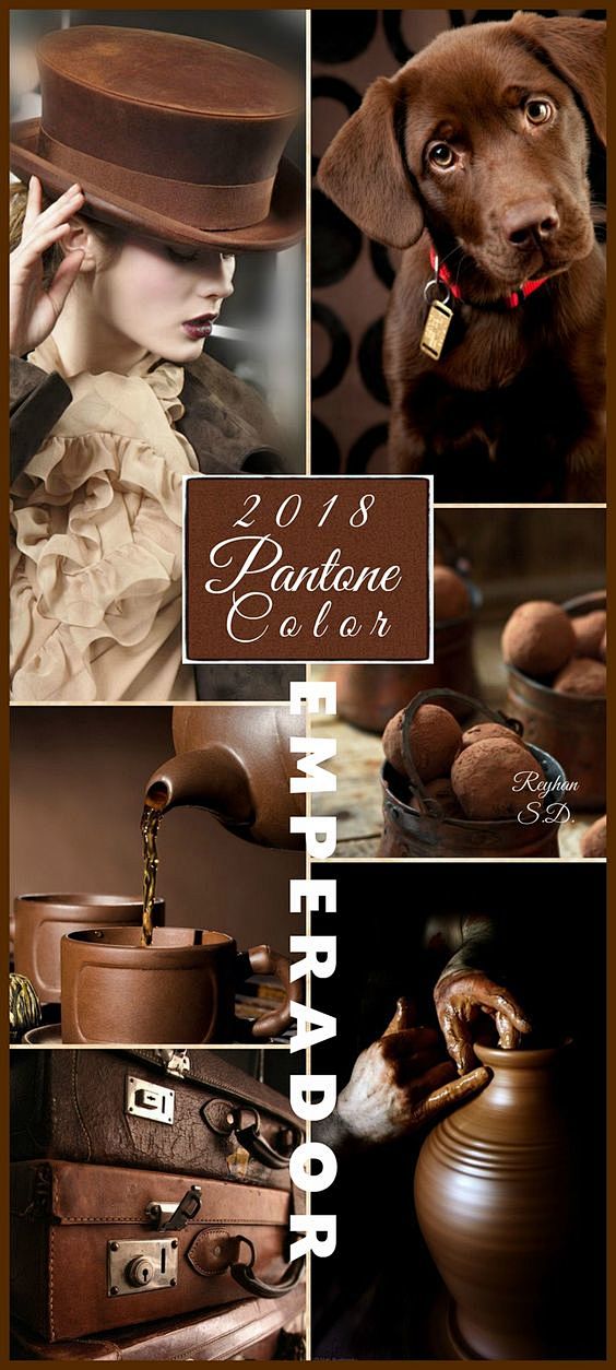 '' Emperador- 2018 P...
