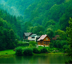 抬头望飞机采集到风景