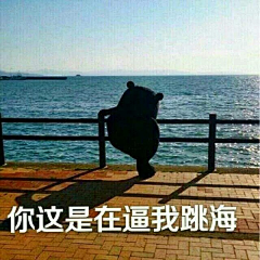 吸收广泛时间序列采集到表情包