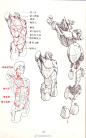 艺用人体运动学解剖图解
.
躯干重心与下肢结构参考
.
手绘素描速写人物插画参考
.
陈聿强 ​​​​