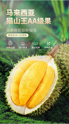 我的猫不爱我L采集到美食