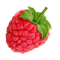 raspberry_PNG5064.png (500×500)