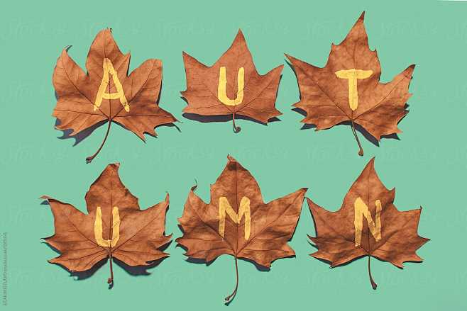 Autumn word written ...
