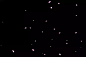 粉花瓣gif光效GIF