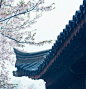 回复：【古风素材】世人谓我恋长安,其实只恋长安某_古风图片吧_百度贴吧