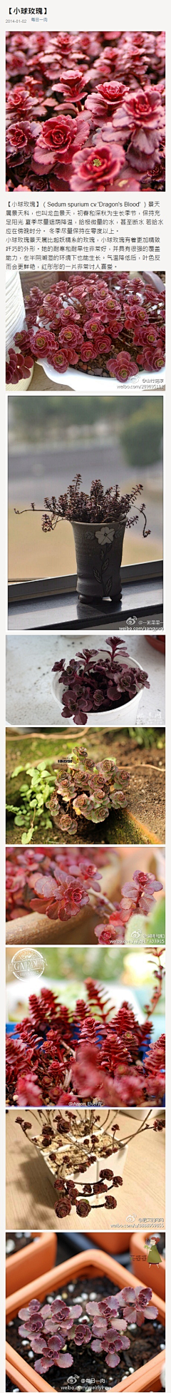每日一肉采集到每日一肉