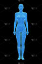 女性，人体女性，3D